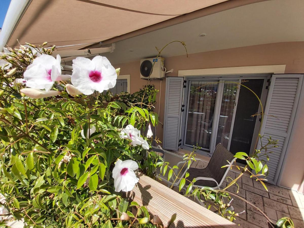 Celeni Apartments Λευκάδα Εξωτερικό φωτογραφία